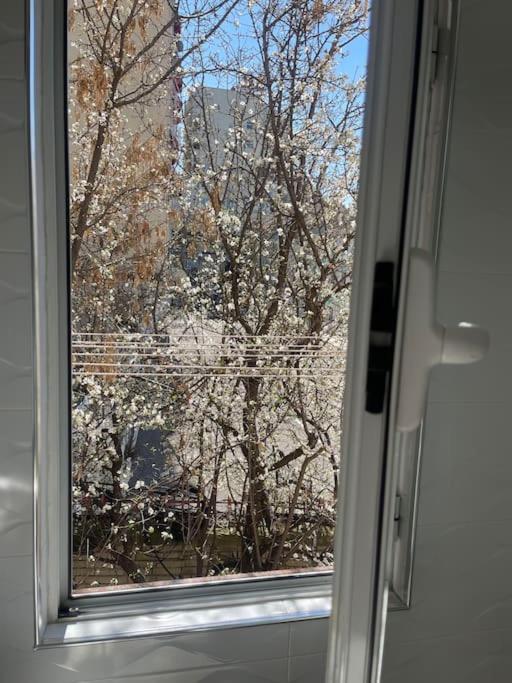 Warm Apartment In The Center Of Tirana City Ngoại thất bức ảnh